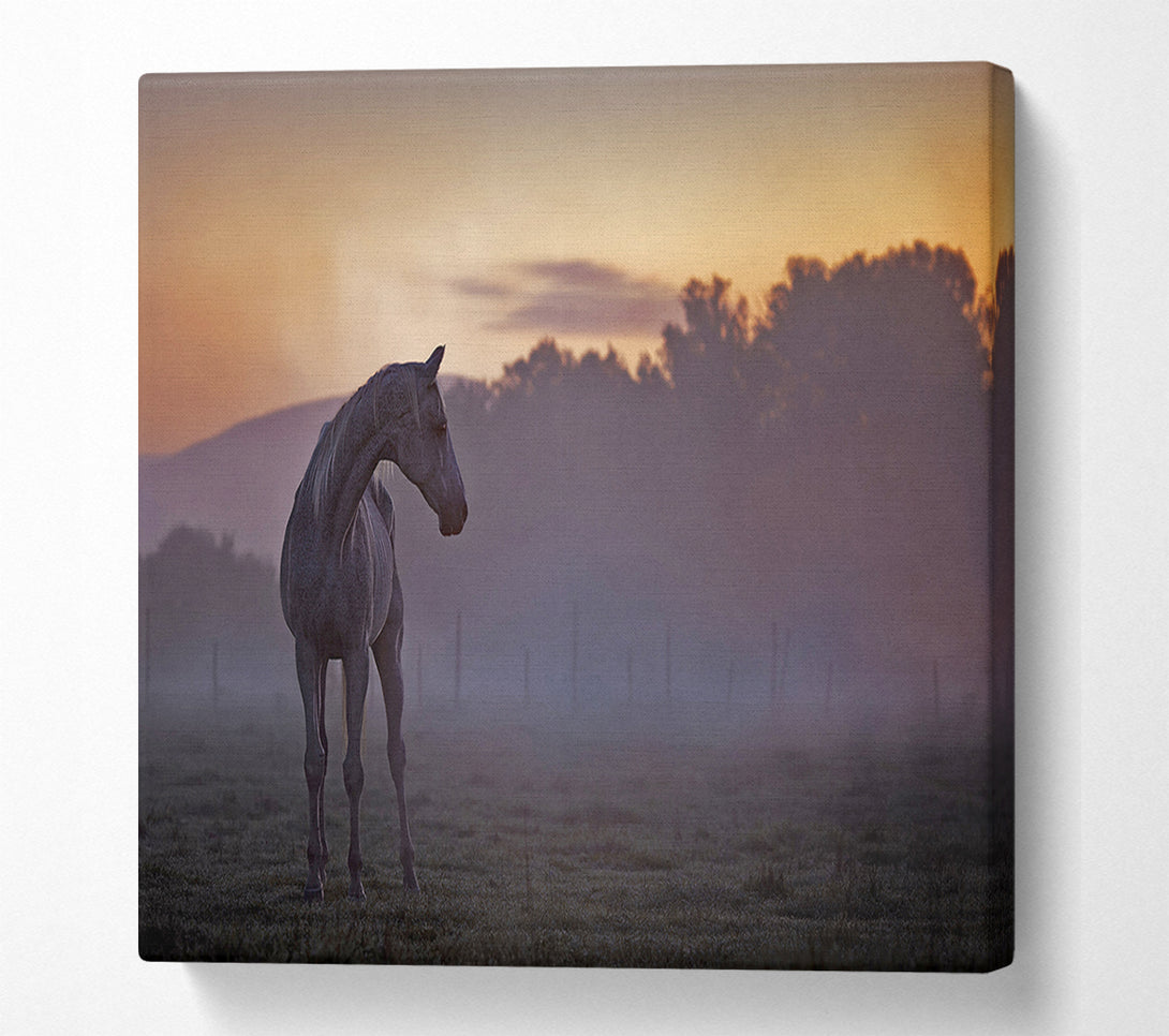  A Canvas Print of Sunrise Horse Canvas Art