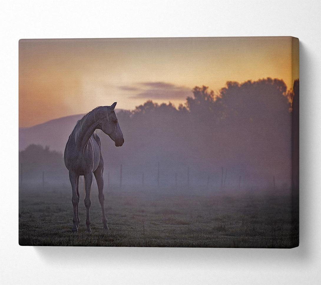  A Canvas Print of Sunrise Horse Canvas Art