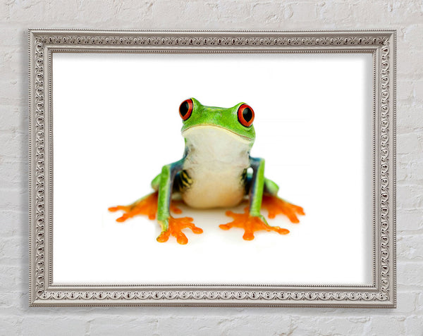 Frog Call Framed Print