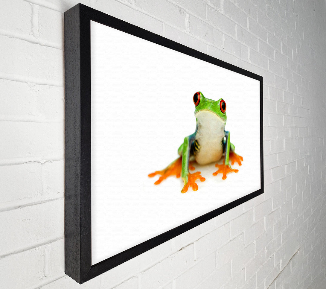  A Canvas Print of Frog Call Canvas Print