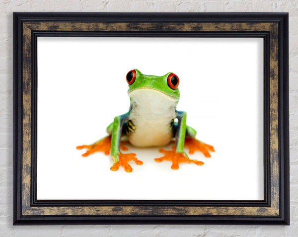 Frog Call Framed Print
