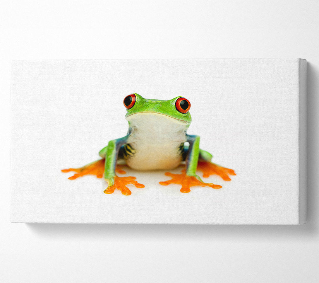 A Canvas Print of Frog Call Canvas Print