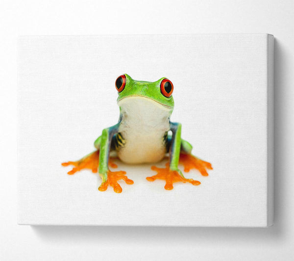  A Canvas Print of Frog Call Canvas Print