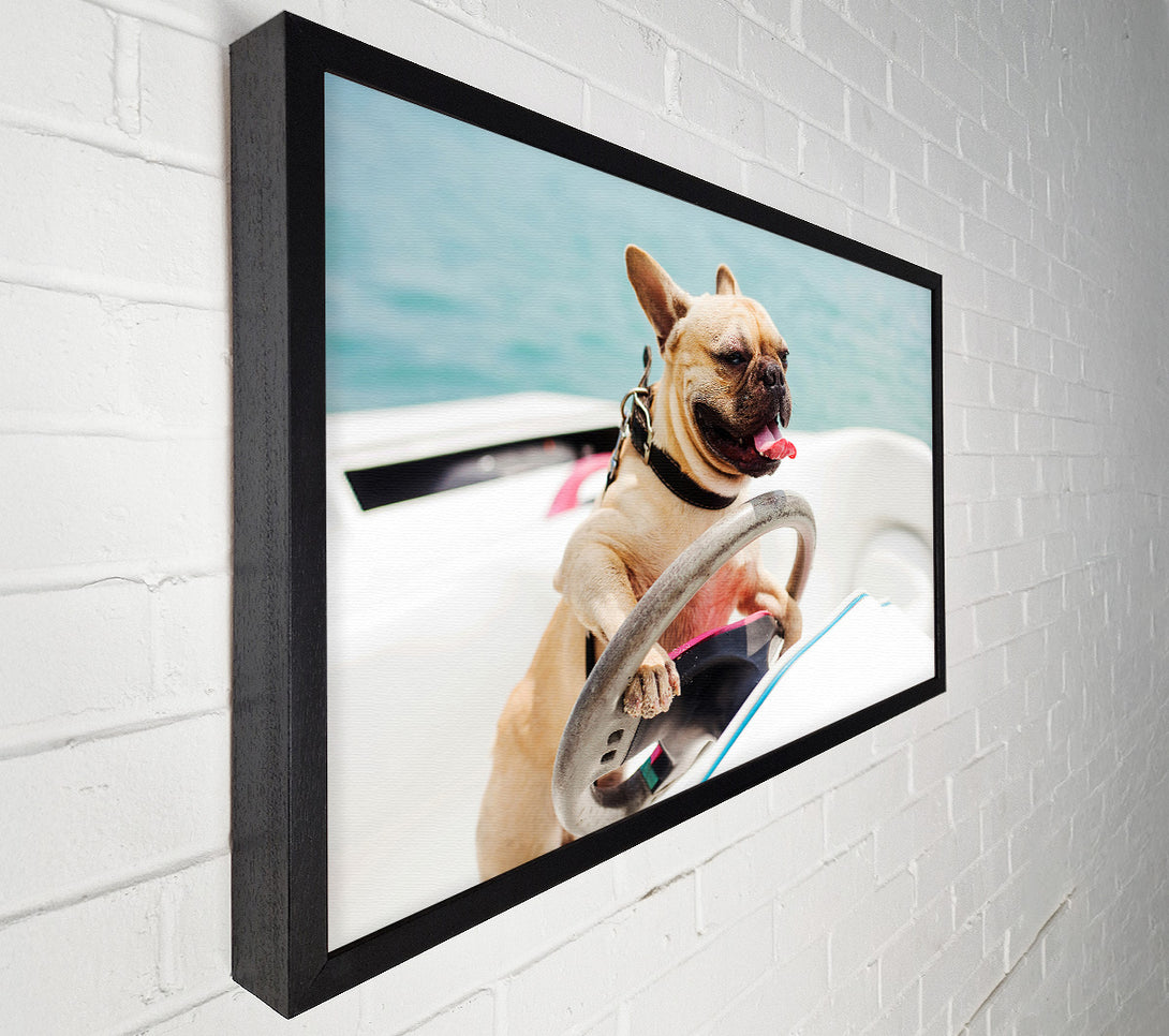  A Canvas Print of Speed boat French bulldog Canvas Wall Art