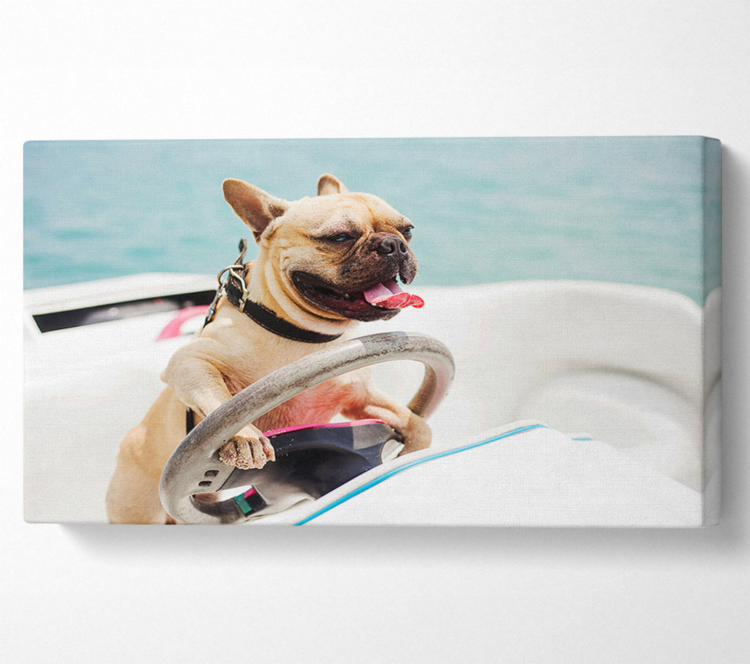  A Canvas Print of Speed boat French bulldog Canvas Wall Art