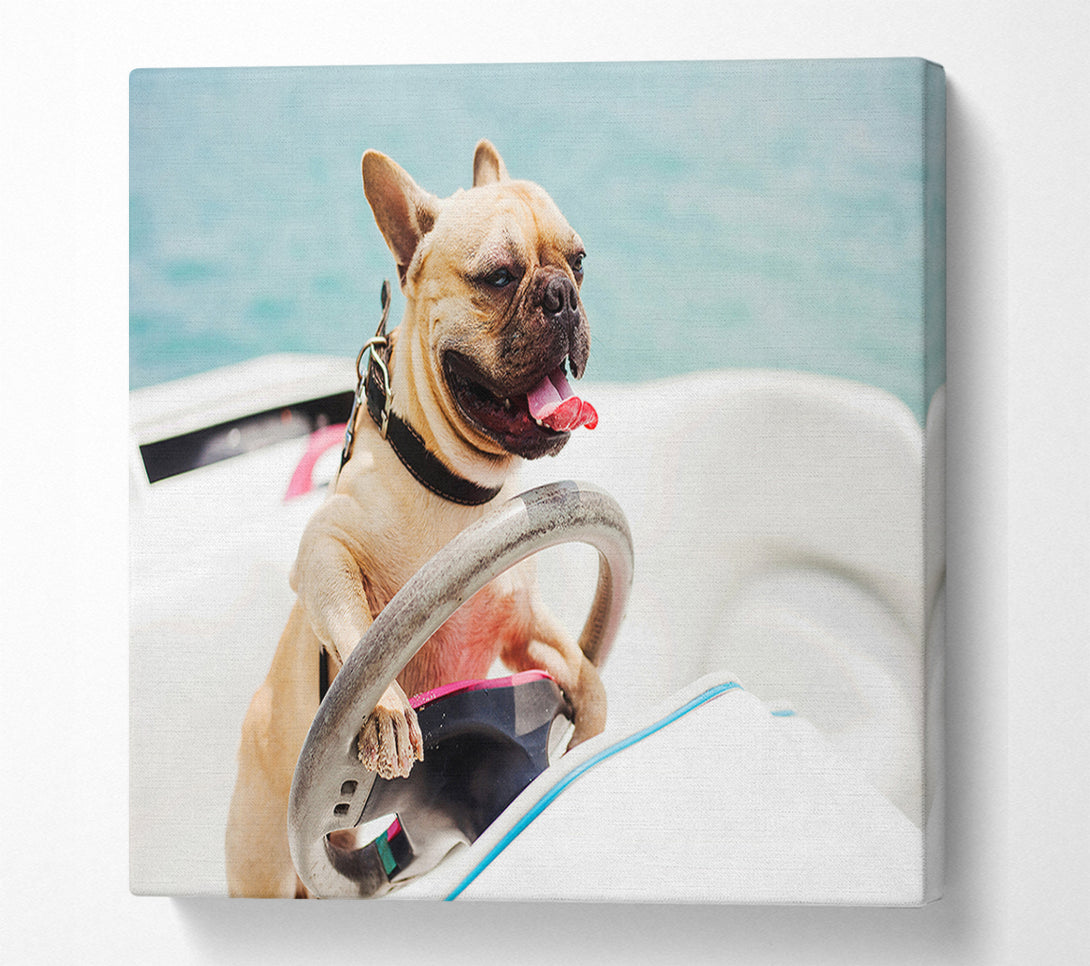  A Canvas Print of Speed boat French bulldog Canvas Wall Art