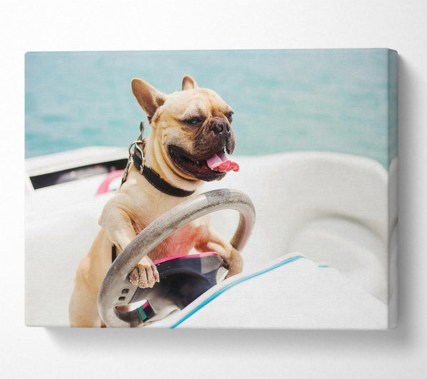  A Canvas Print of Speed boat French bulldog Canvas Wall Art