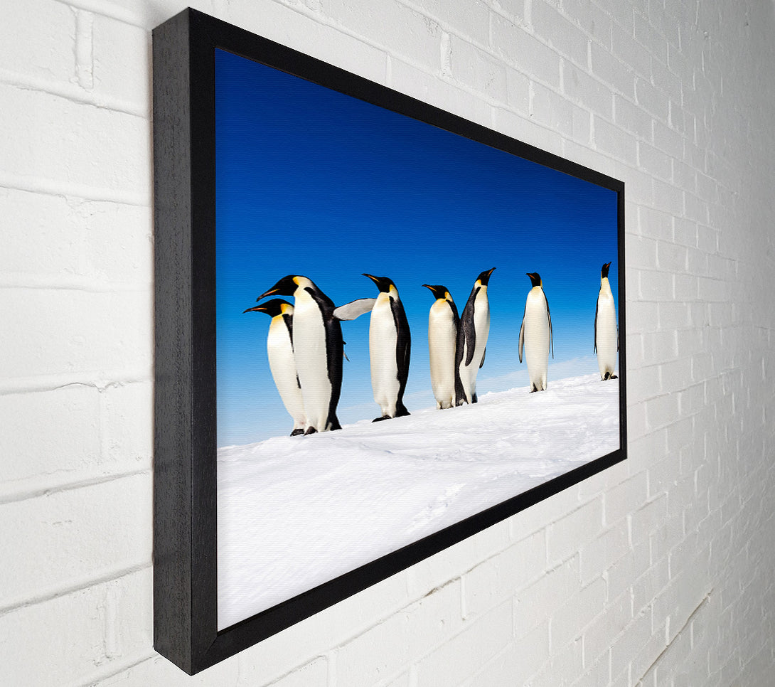  A Canvas Print of Penguin Gossip Canvas Art