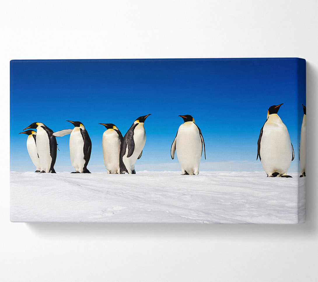  A Canvas Print of Penguin Gossip Canvas Art