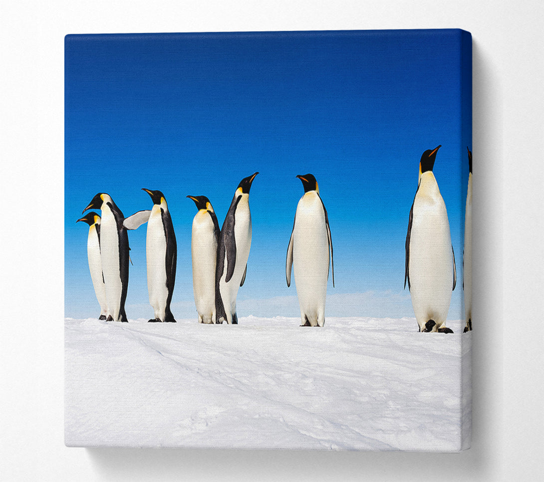  A Canvas Print of Penguin Gossip Canvas Art
