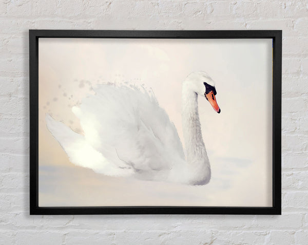 Stunning Swan Splash Framed Print