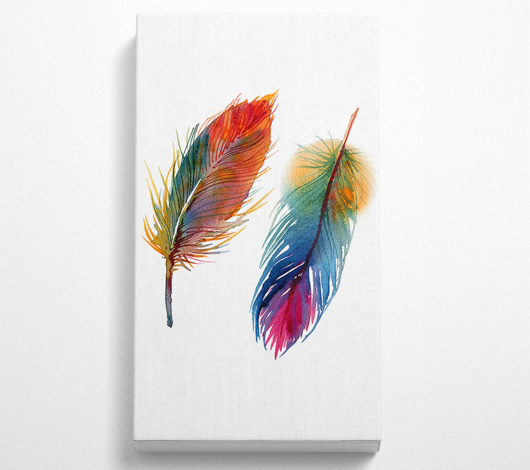  A Canvas Print of Rainbow Feathers Canvas Print