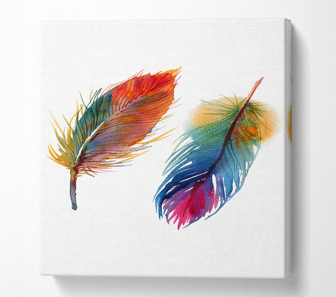  A Canvas Print of Rainbow Feathers Canvas Print