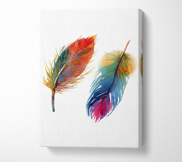  A Canvas Print of Rainbow Feathers Canvas Print