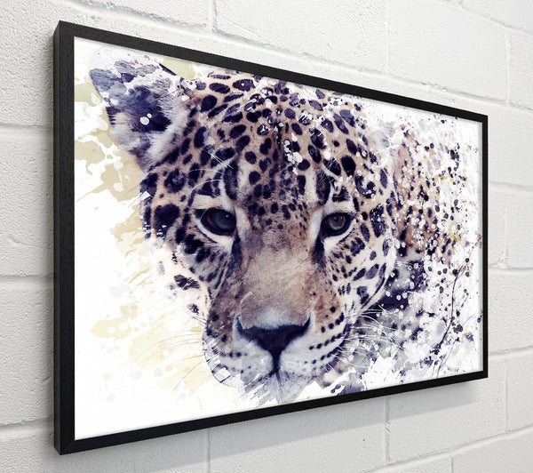 Leopard Splash