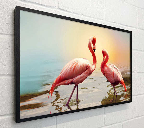 Flamingo Sunset