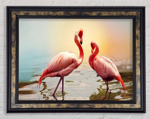 Flamingo Sunset Framed Print