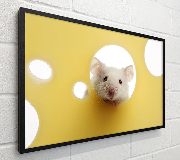 Cheesy Mouse