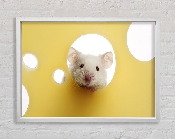 Cheesy Mouse Framed Print