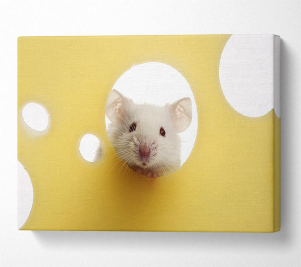  A Canvas Print of Cheesy Mouse Canvas Wall Art