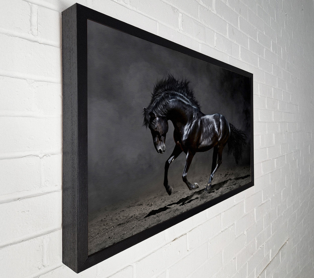  A Canvas Print of Black Beauty Horse Canvas Print