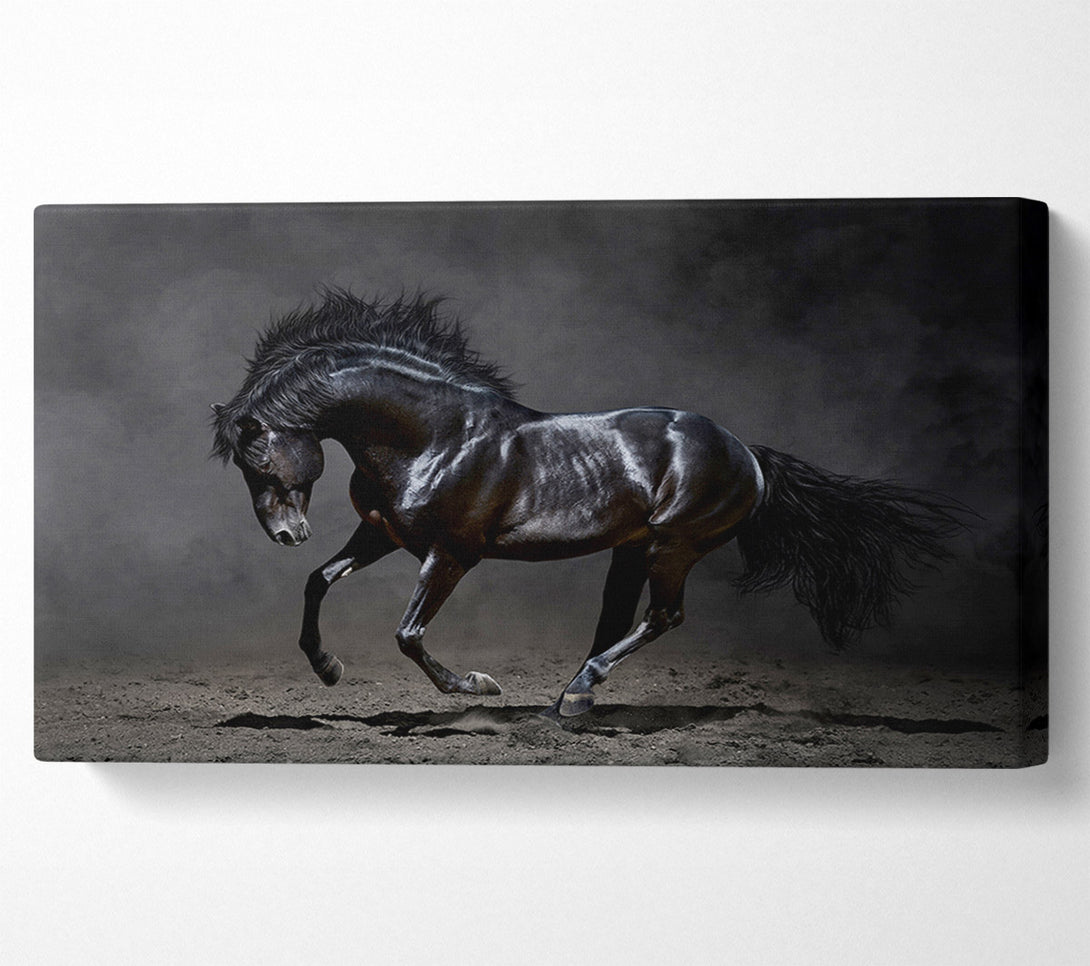  A Canvas Print of Black Beauty Horse Canvas Print