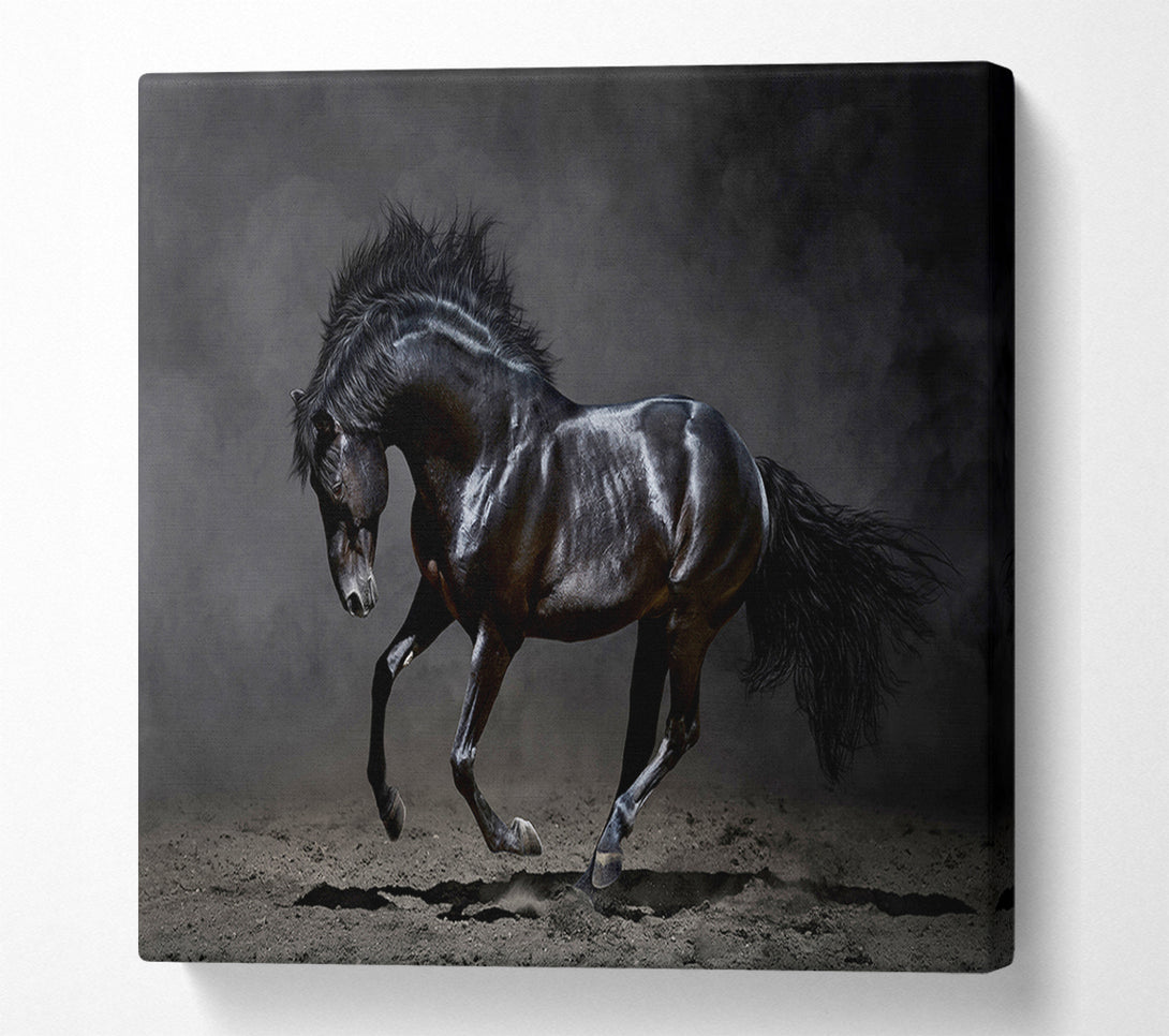  A Canvas Print of Black Beauty Horse Canvas Print
