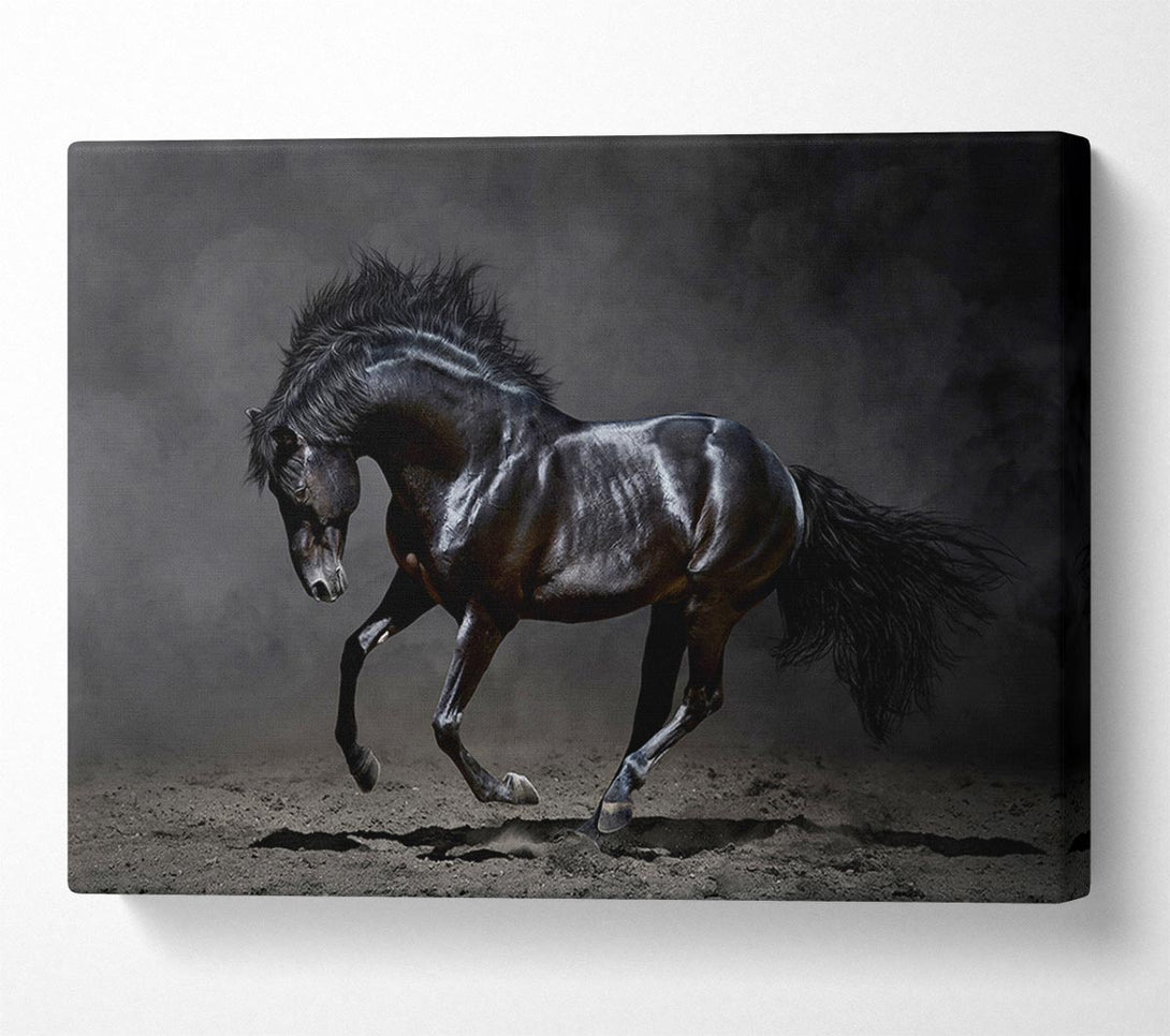  A Canvas Print of Black Beauty Horse Canvas Print