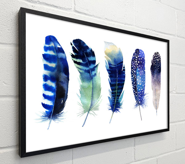 Night Feathers