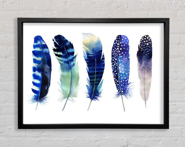 Night Feathers Framed Print