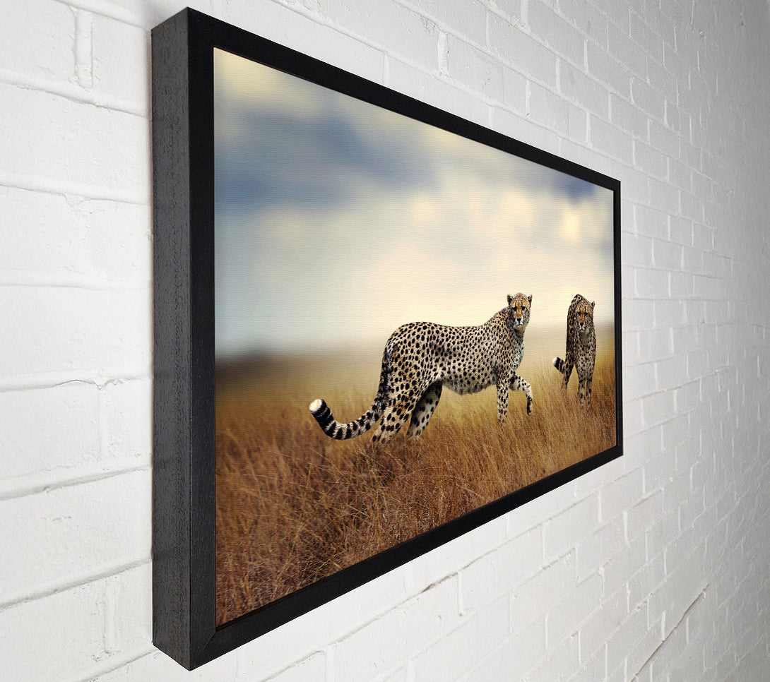  A Canvas Print of Cheetah Duo Canvas Wall Art