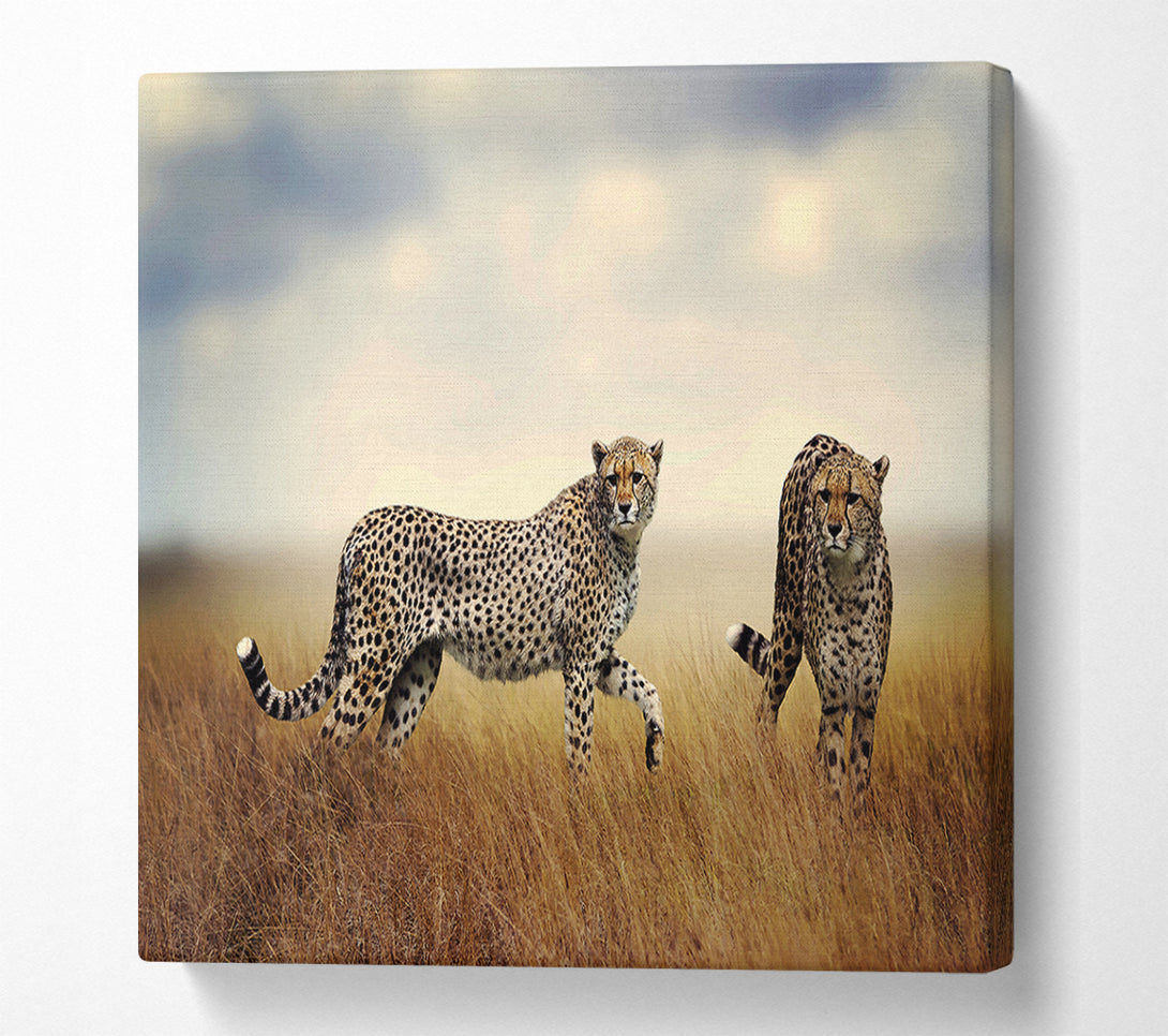  A Canvas Print of Cheetah Duo Canvas Wall Art