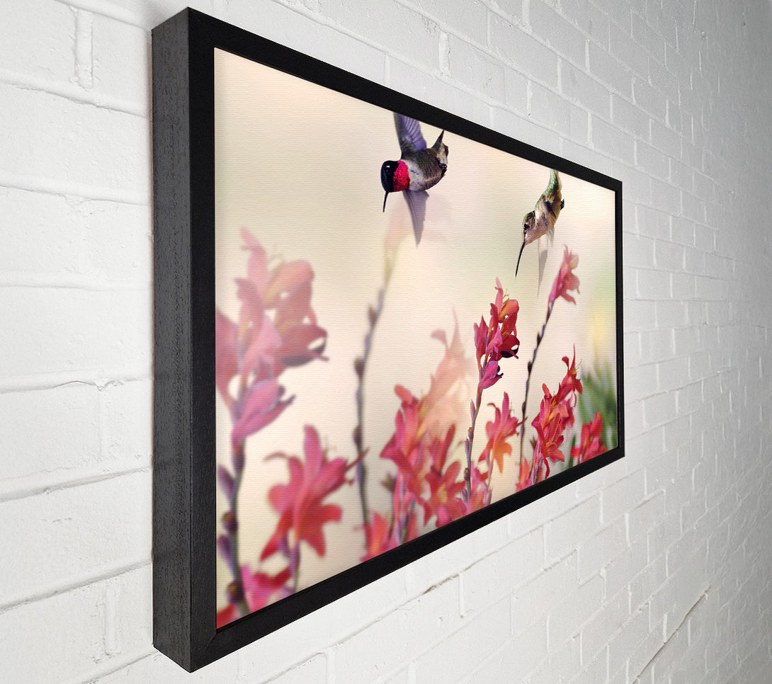  A Canvas Print of Hummingbird Delight Canvas Wall Art