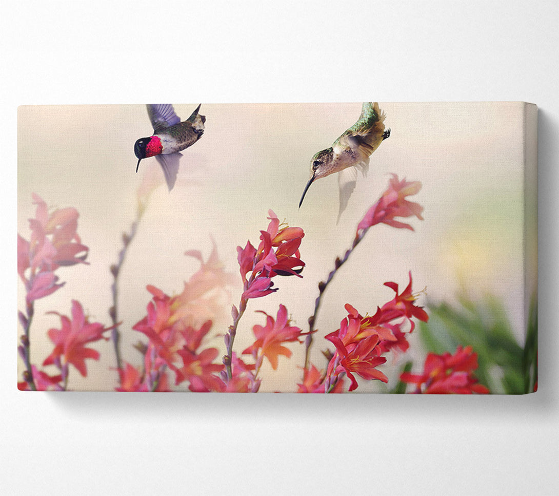  A Canvas Print of Hummingbird Delight Canvas Wall Art