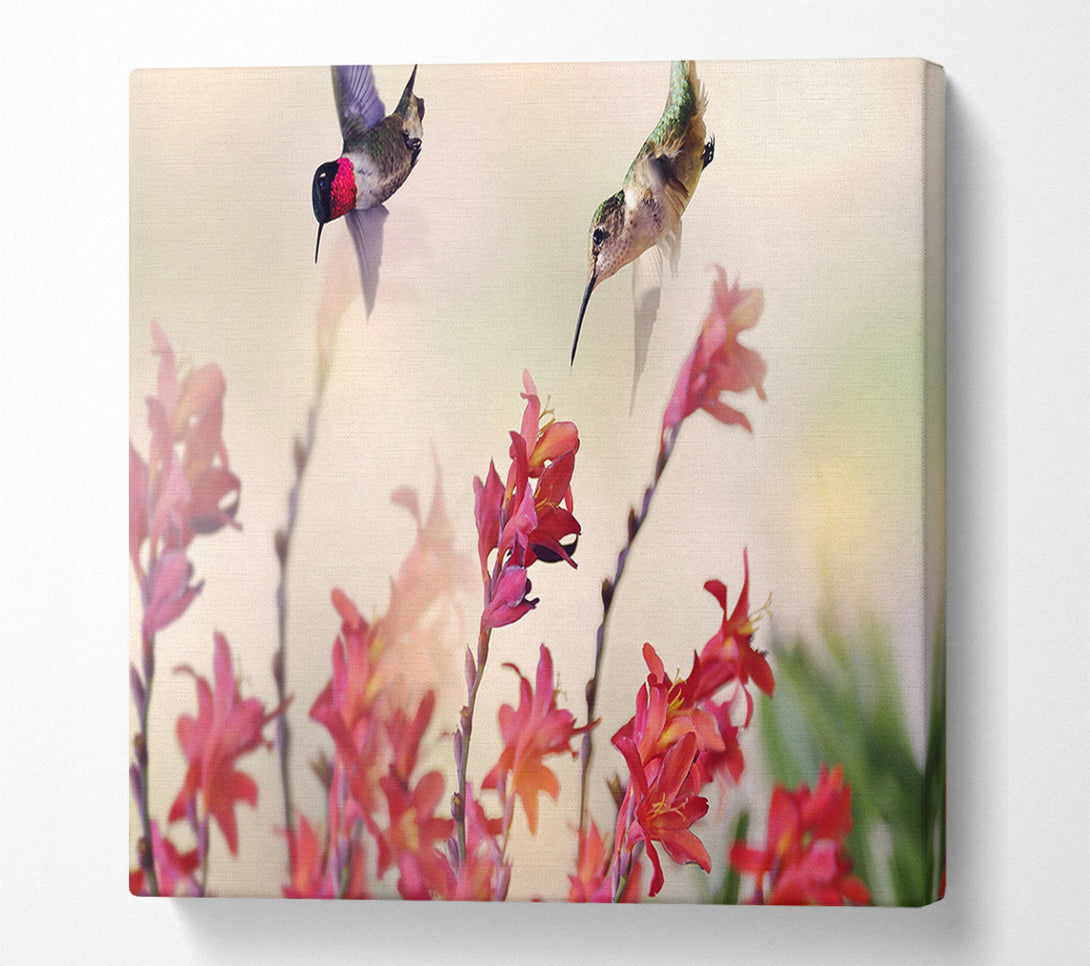  A Canvas Print of Hummingbird Delight Canvas Wall Art