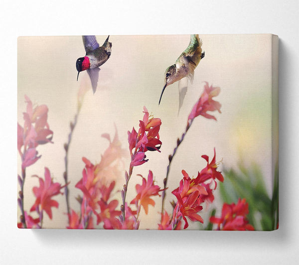  A Canvas Print of Hummingbird Delight Canvas Wall Art