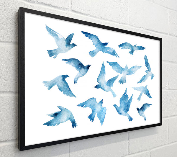 Blue Doves