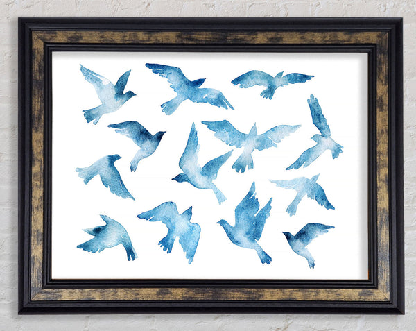 Blue Doves Framed Print