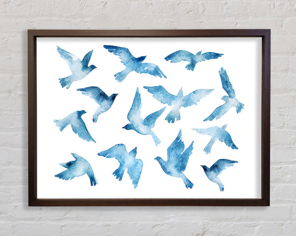 Blue Doves Framed Print