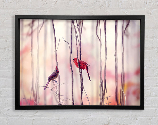 Winter Birds Framed Print