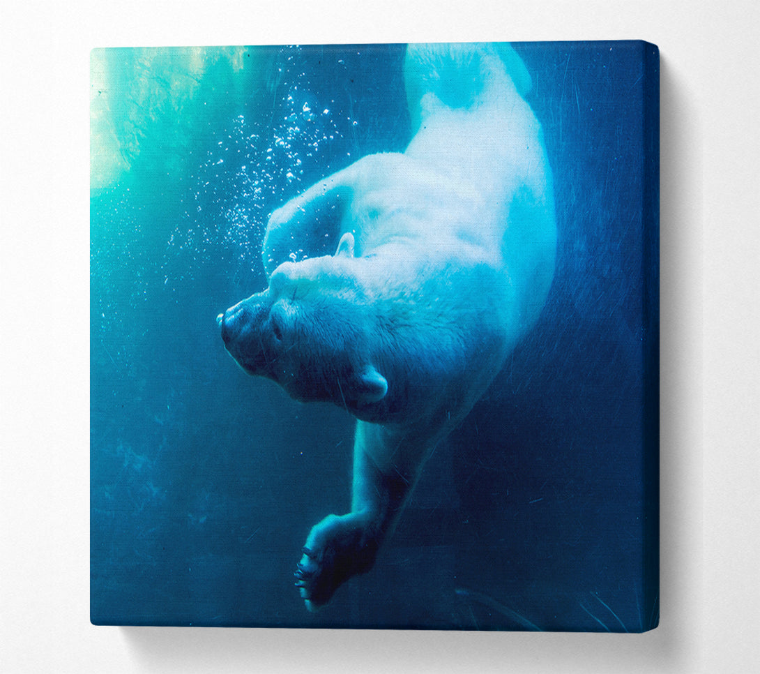  A Canvas Print of Polar Bear Swimming Canvas Wall Art