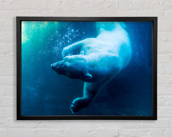 Polar Bear Swimming Framed Print