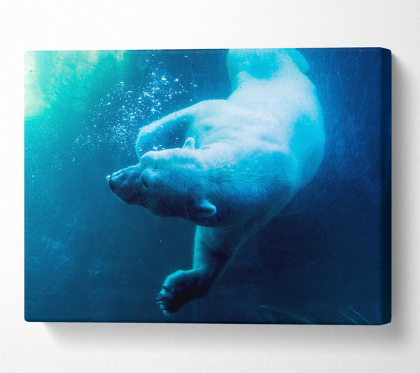  A Canvas Print of Polar Bear Swimming Canvas Wall Art