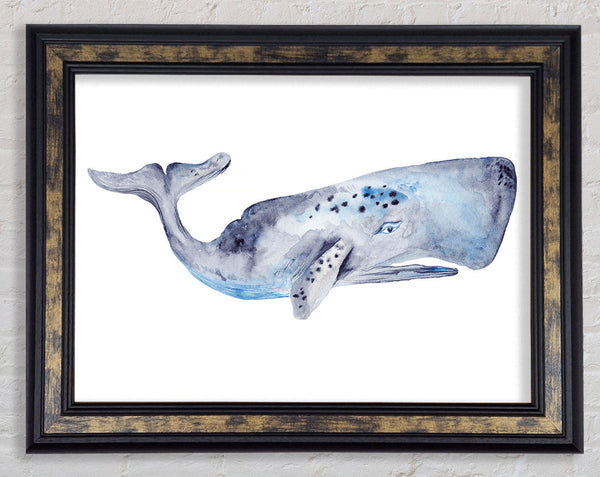 Whale Framed Print