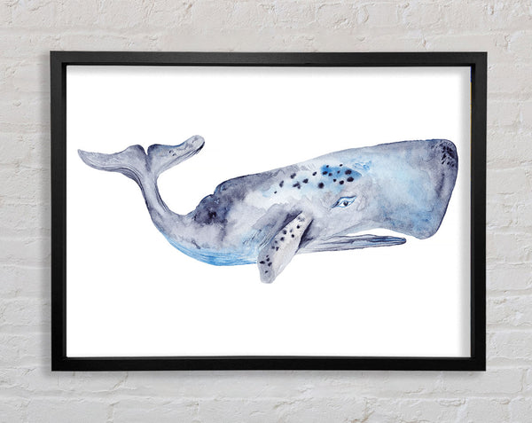 Whale Framed Print