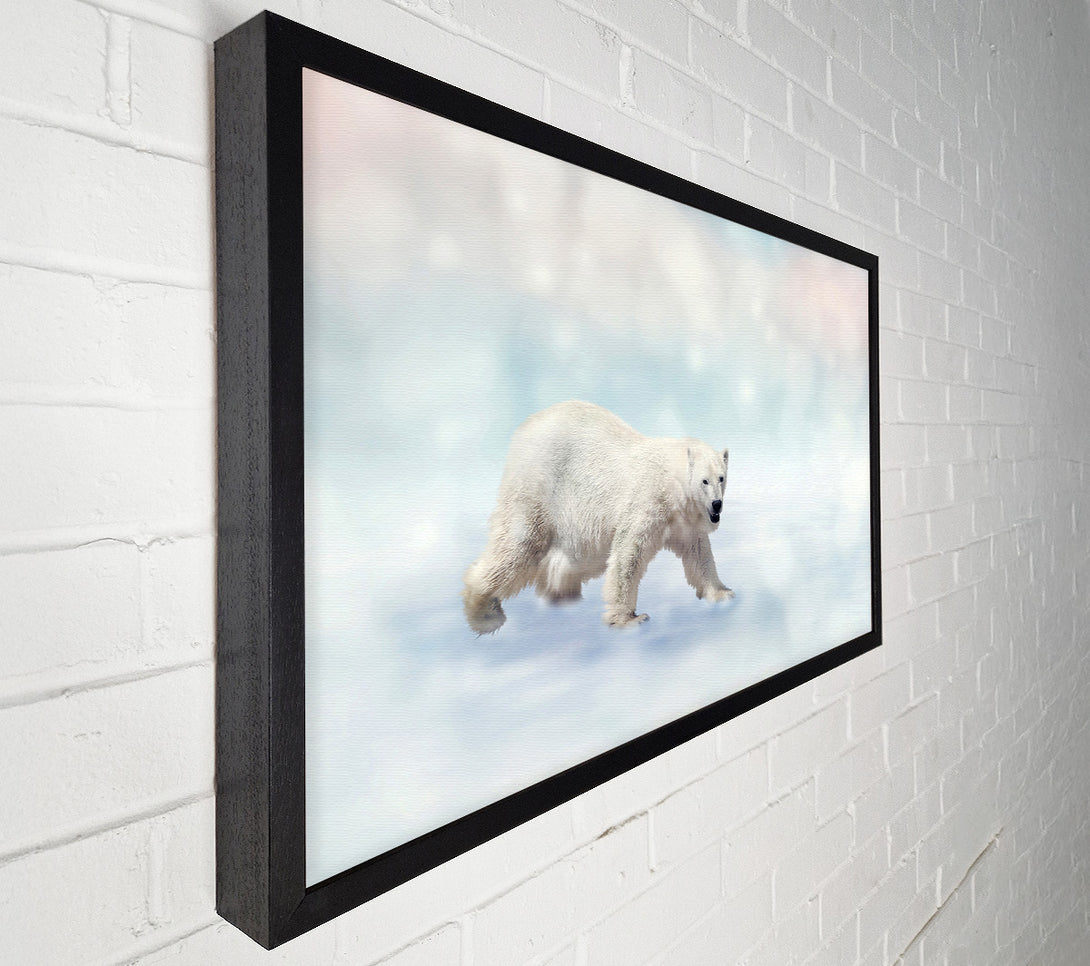  A Canvas Print of Polar Bear Twinkle Canvas Print