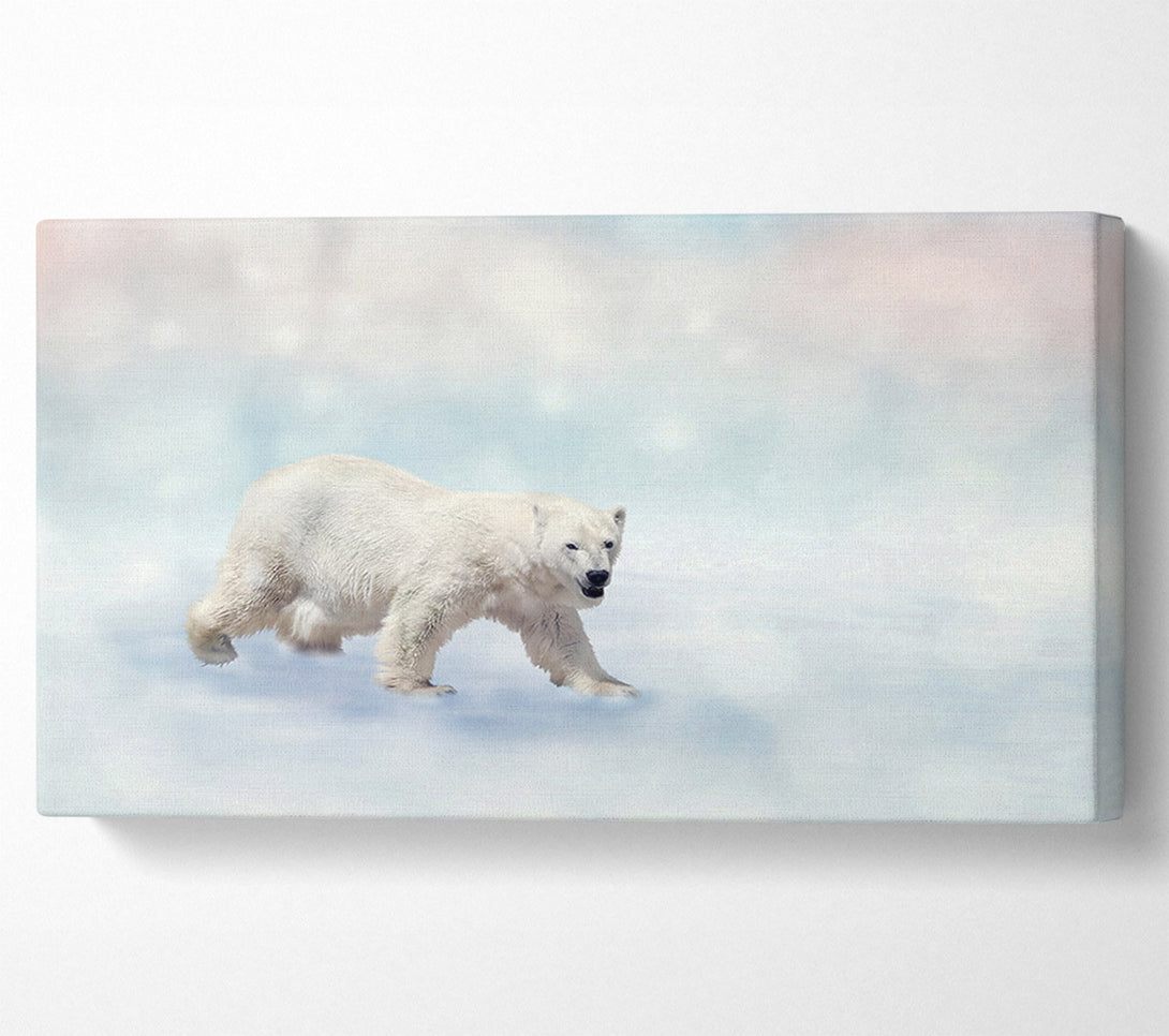  A Canvas Print of Polar Bear Twinkle Canvas Print