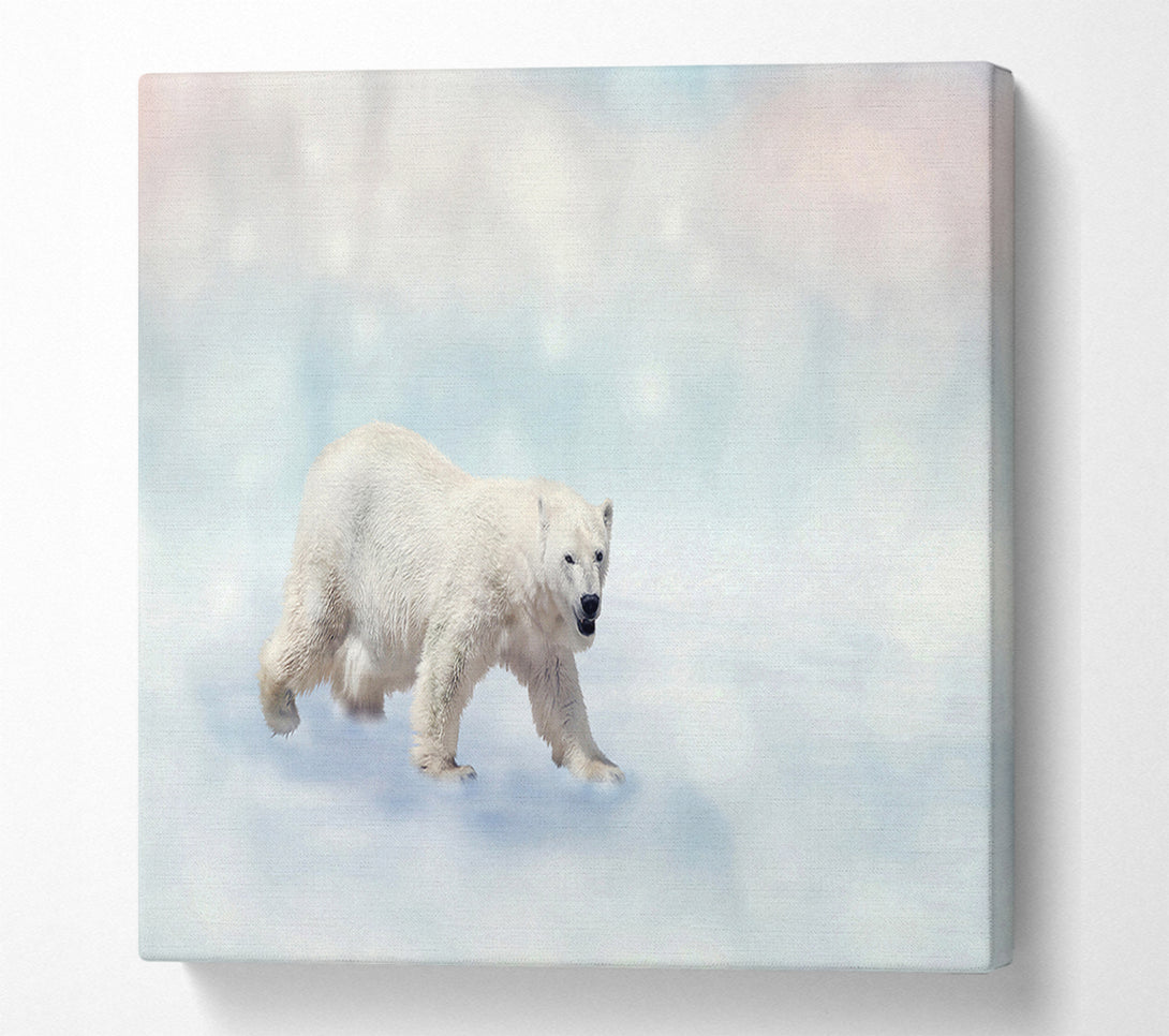  A Canvas Print of Polar Bear Twinkle Canvas Print