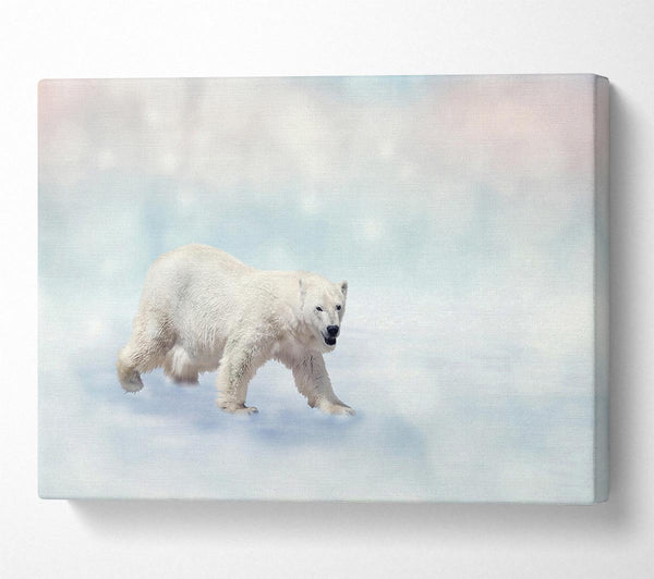  A Canvas Print of Polar Bear Twinkle Canvas Print