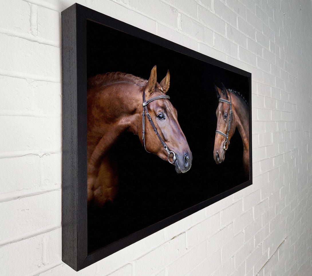  A Canvas Print of Horse Duo Canvas Print